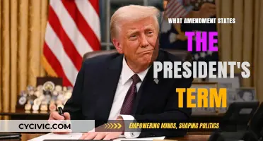 The President's Term: This Amendment Defines It
