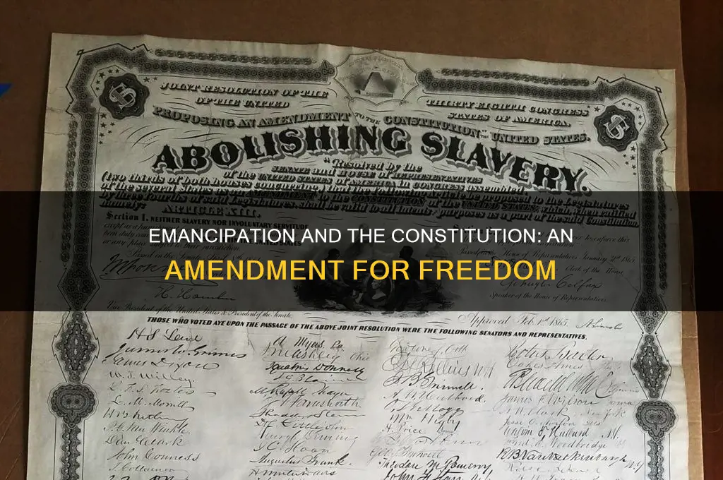 what amendment to constitution protected free slaves