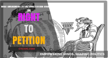 Petitioning for Change: Understanding the Constitution's Power