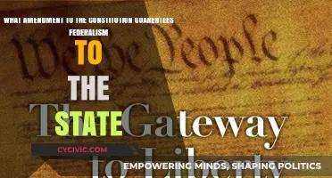 Federalism: Constitutional Amendments and State Guarantees