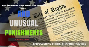 The Eighth Amendment: Protecting Us from Cruel Punishments