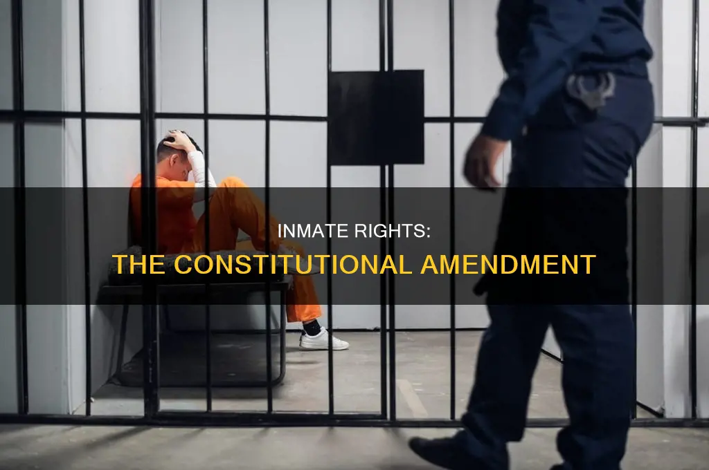 what amendment to the constitution specifically addressed inmate rights