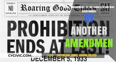 Overturned Amendments: Constitutional Changes Over Time