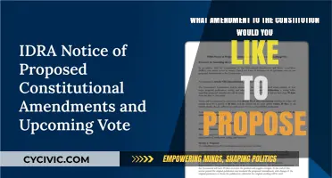 Amending the Constitution: Your Voice, Your Choice