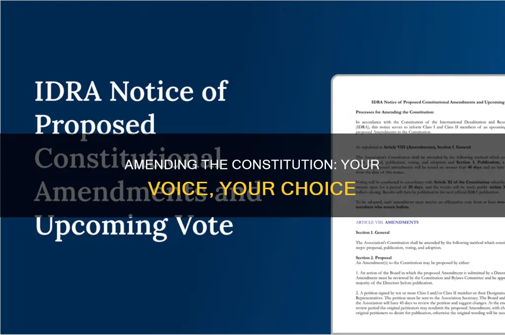 what amendment to the constitution would you like to propose