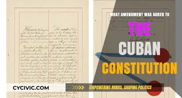 Cuban Constitution: The Amendment Explained