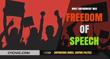 Freedom of Speech: The First Amendment Explored