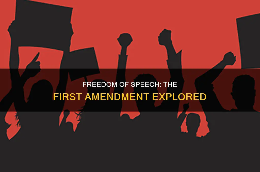what amendment was freedom of speech
