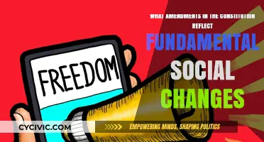 Social Progress Reflected in Constitutional Amendments