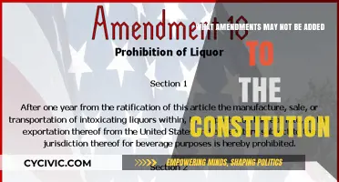 Amendments: What's Off the Table for the Constitution