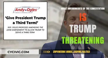 Trump's Threats: Constitutional Amendments in Danger