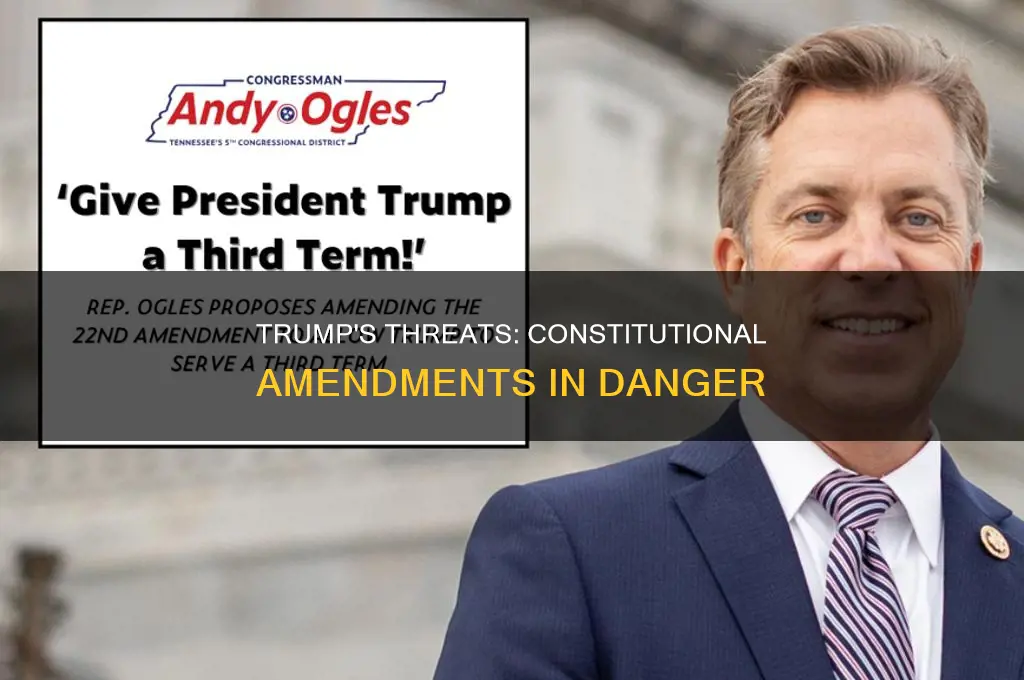 what amendments of the constitution is trump threatening