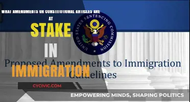 Immigration: Constitutional Rights at Stake