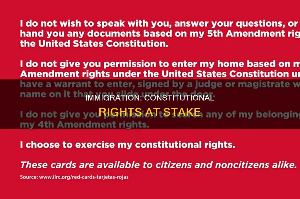 what amendments or constitutional articles are at stake in immigration