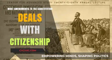 Amendments Defining Citizenship: A Constitutional Overview