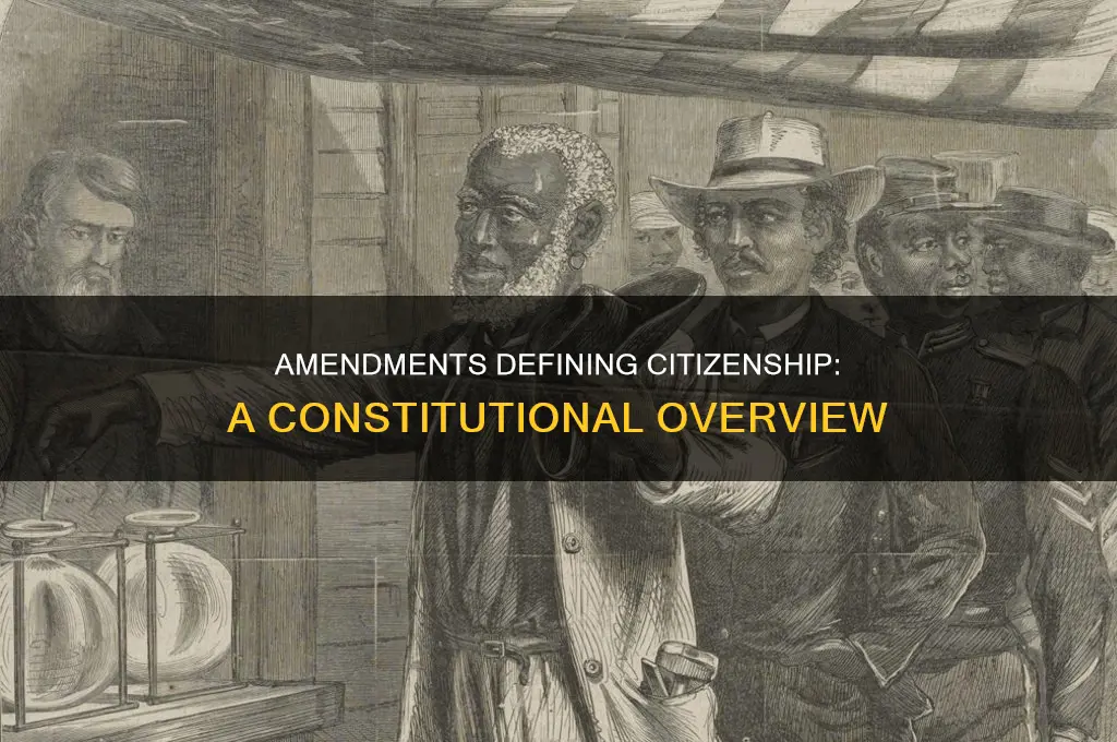 what amendments to the constitution deals with citizenship