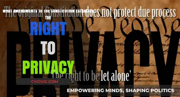 Amendments Secure Privacy Rights in the Constitution