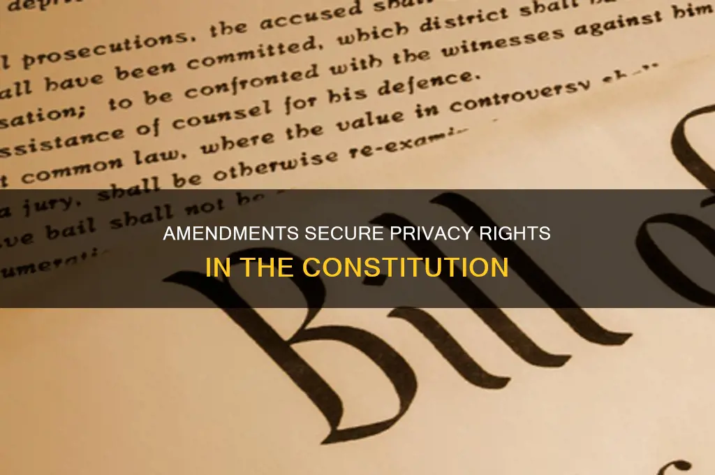 what amendments to the constitution establish the right to privacy
