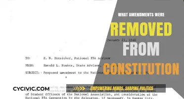 Amendments Removed: A Constitutional Evolution