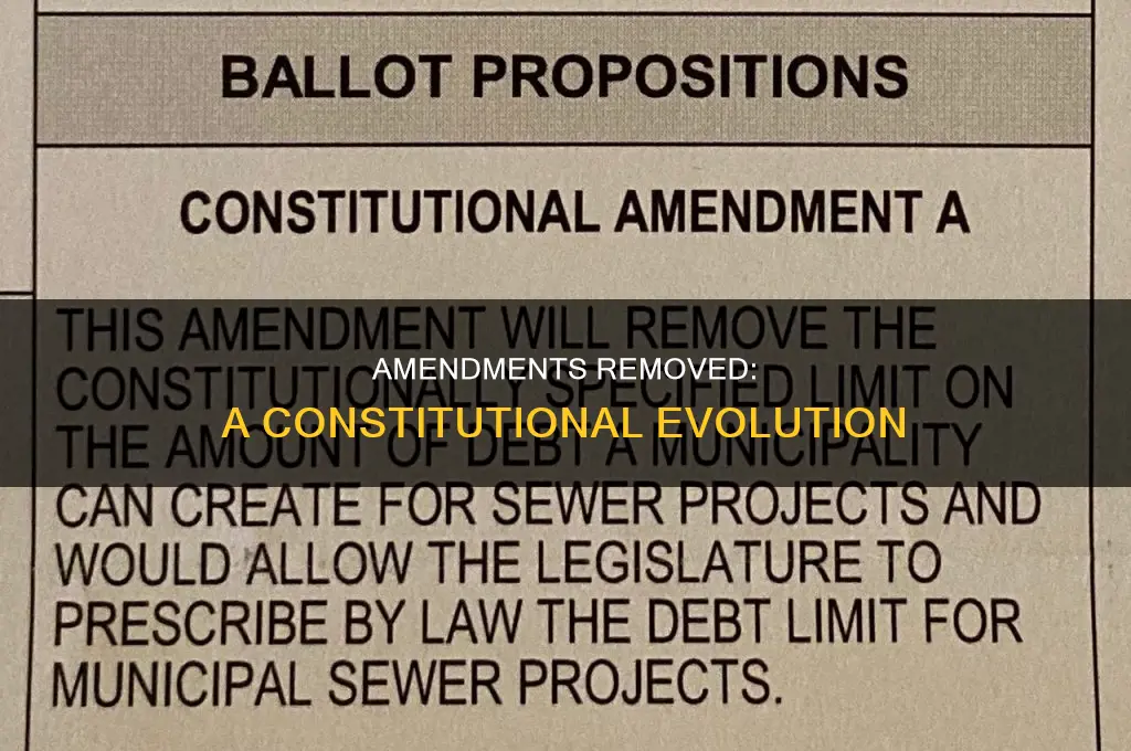 what amendments were removed from constitution