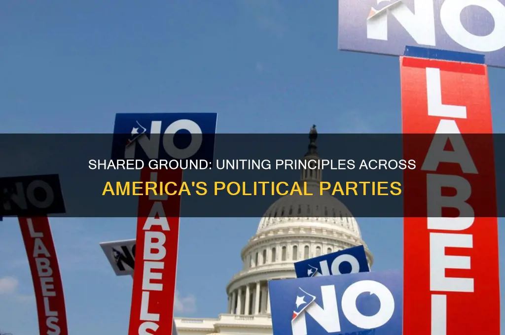 what american political parties have in common