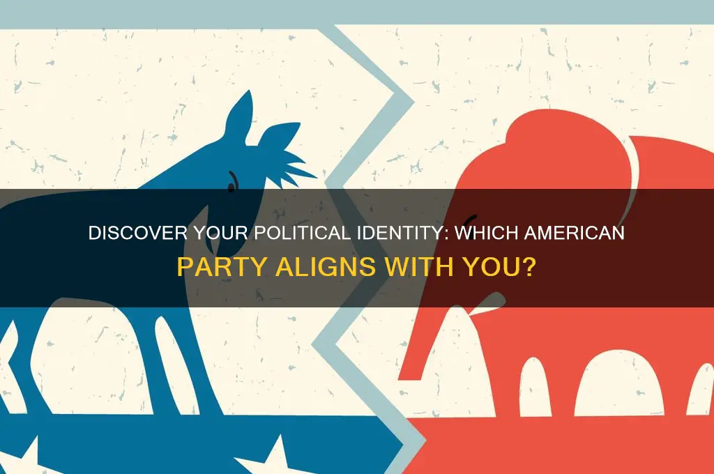 what american political party am i