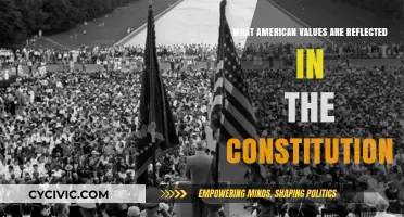 American Constitution: Values and Principles