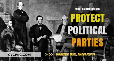 Constitutional Safeguards: Amendments Shielding Political Parties' Rights and Freedoms