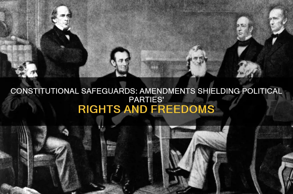 what ammendments protect political parties