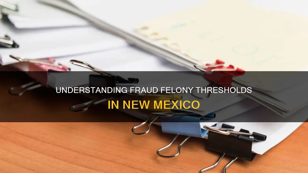 what amount constitutes a felony in fraud for new mexico