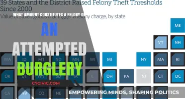 Burglary Felony Threshold: When Does It Become a Felony?