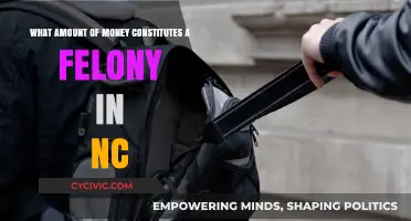 Money and Felony in North Carolina: How Much Is Too Much?