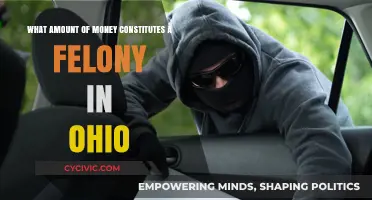 Understanding Ohio's Felony Thresholds for Monetary Crimes