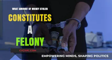 Theft and Felony: How Much Money Is Too Much?