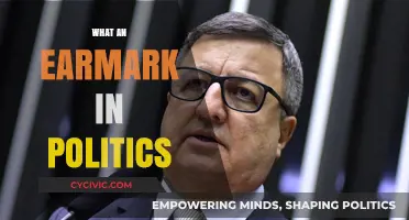 Understanding Earmarks: Political Funding, Special Interests, and Their Impact