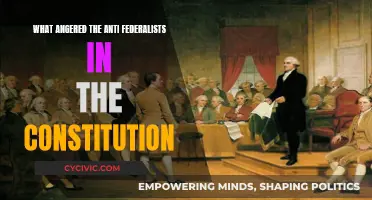Anti-Federalists' Ire: Constitution's Flaws and Failures
