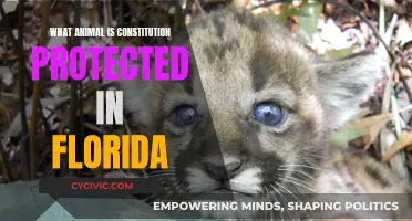 Florida's Constitution: Animal Protection Laws and Their Importance