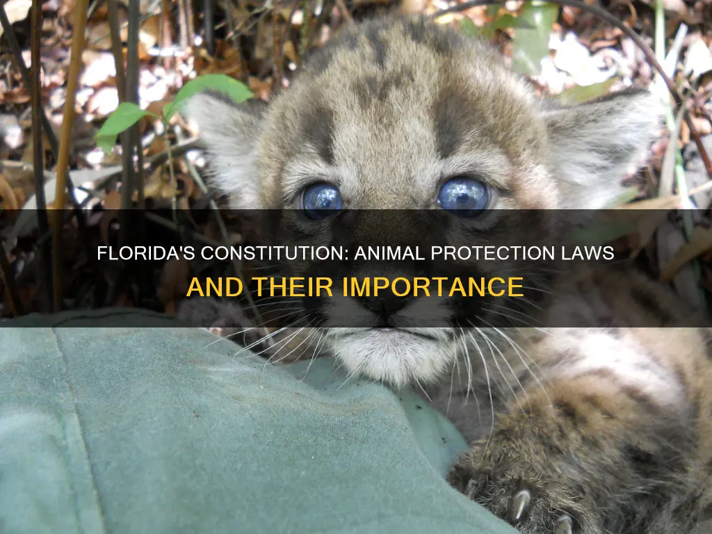 what animal is constitution protected in florida