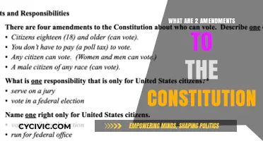 Amendments: Understanding Our Constitution's Evolution