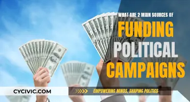 Funding Political Campaigns: Two Main Sources