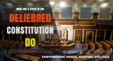 Two Steps to a Deliberated Constitution