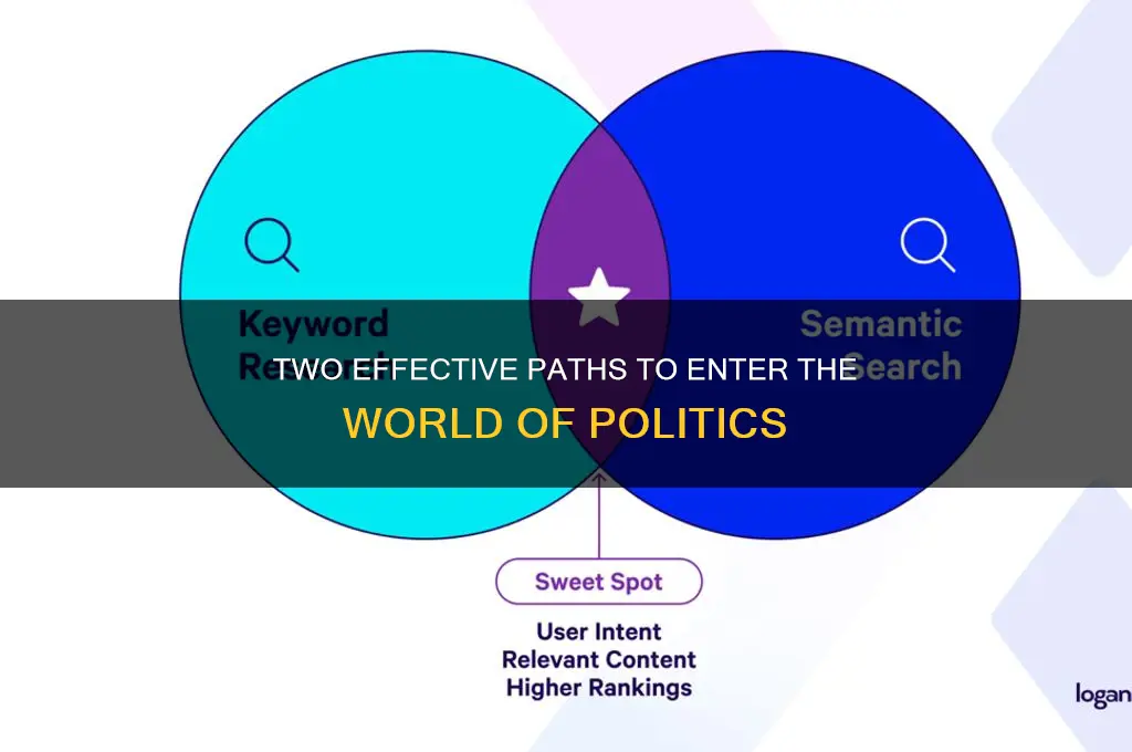 what are 2 ways you can get in with politics