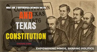 Texas vs US: Constitutions Compared