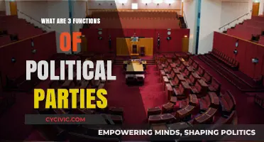 Understanding Political Parties: Key Functions and Their Impact on Governance