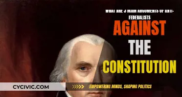 Anti-Federalists' Main Arguments Against the Constitution