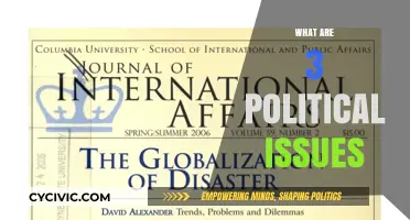 Exploring Three Critical Political Issues Shaping Our World Today