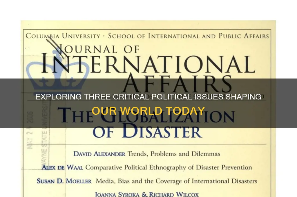 what are 3 political issues