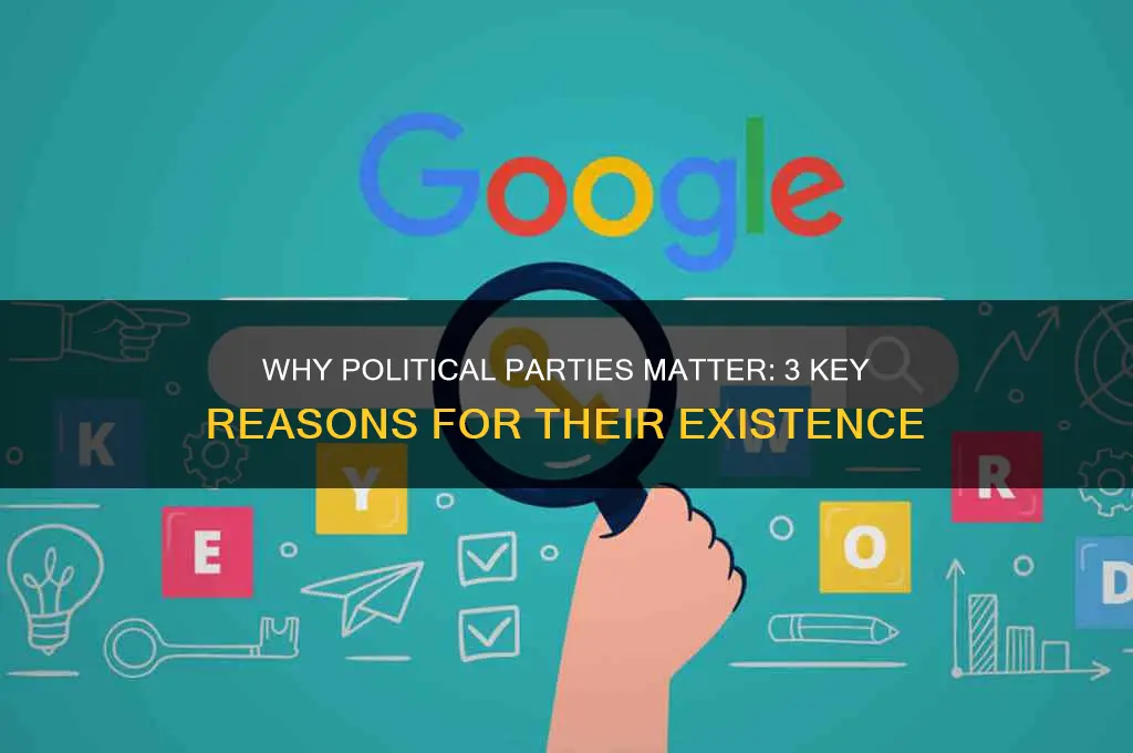 what are 3 reasons why we have political parties