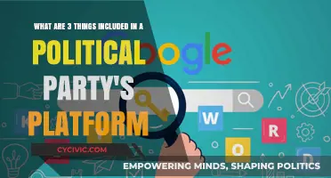 Key Components of a Political Party's Platform Explained