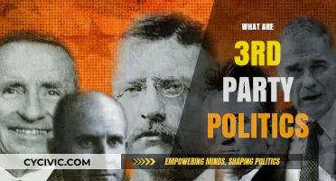 Understanding Third-Party Politics: Alternatives Beyond the Two-Party System